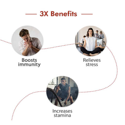 Dabur Ashwagandha Capsules (20 Capsules) – Immunity, Stress & Energy Support