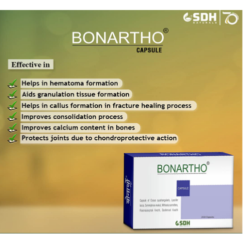 Shree Dhanwantri Bonartho Capsules (60 Capsules) – Ayurvedic Bone & Joint Support