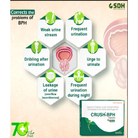 Shree Dhanwantri Crush-BPH Capsule for Prostate & Urinary Health (40 Capsules)