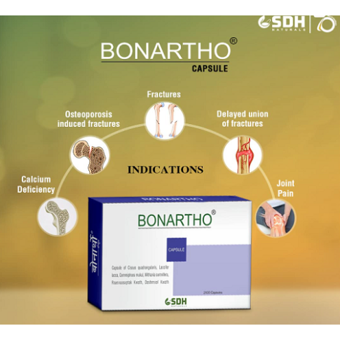 Shree Dhanwantri Bonartho Capsules (60 Capsules) – Ayurvedic Bone & Joint Support