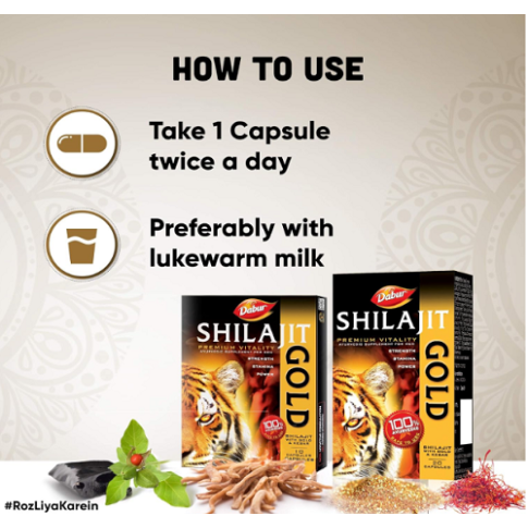 Dabur Shilajit Gold Capsules for Strength, Stamina & Vitality (20 Capsules)