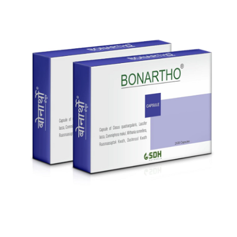 Shree Dhanwantri Bonartho Capsules (60 Capsules) – Ayurvedic Bone & Joint Support