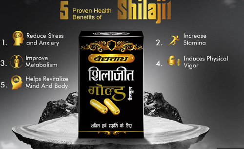 Baidyanath Shilajit Gold Capsules – Stamina, Energy, Vitality & Immune Support (20 Caps)