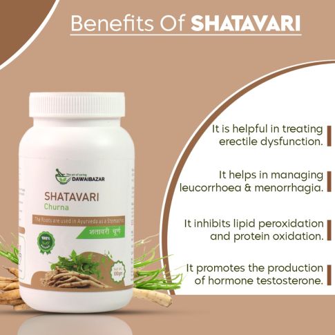 Dawaibazar Shatavari Churna 100g – Organic Ayurvedic Women’s Wellness Powder - LUXURY GLOW
