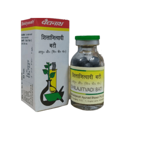 Baidyanath Shilajitvadi Bati – Energy, Immunity & Diabetes Support Ayurvedic Tablets