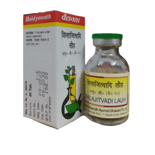 Baidyanath Shilajitvadi Lauh – Ayurvedic Energy, Digestion & Sugar Balance Support