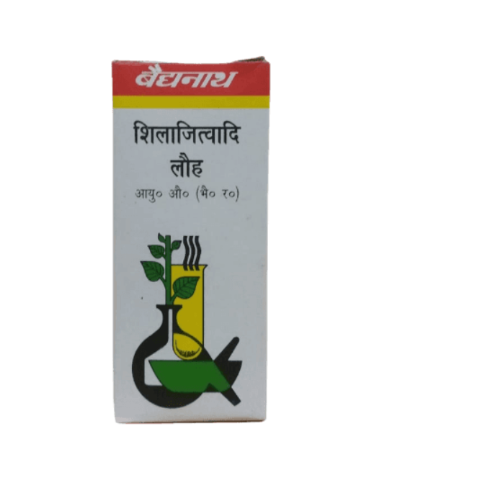 Baidyanath Shilajitvadi Lauh – Ayurvedic Energy, Digestion & Sugar Balance Support