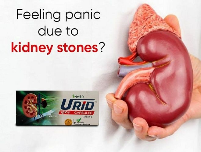 Ambic Urid Ayurvedic Wellness Capsules – 60 Capsules